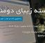 دانلود قالب دومنا نسخه 2 برای فروش دامنه