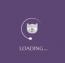 ایجاد صفحه انتظار قبل از بارگذاری سایت با افزونه Loading Page
