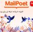 افزونه خبرنامه ی حرفه ای وردپرس Mailpoet Premium