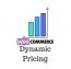 افزونه قیمت گذاری پویا ووکامرس Dynamic Pricing