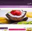 دانلود قالب آشپزی Zylyz برای وردپرس