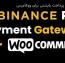 افزونه درگاه پرداخت بایننس برای ووکامرس Binance Pay