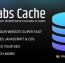 افزونه افزایش سرعت سایت وردپرسی Borlabs Cache
