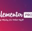 دانلود رایگان المنتور پرو Elementor Pro نسخه 4.1.2