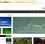 دانلود پوسته فارسی و خبری Endolf برای وردپرس
