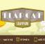 اسکریپت بازی آنلاین و مهیج FlapCat Steampunk