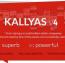 دانلود قالب فروشگاهی شرکتی کالیاس Kallyas نسخه 4.0.9 برای وردپرس