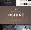 دانلود پوسته خلاقانه و چندمنظوره Oshine برای وردپرس