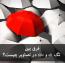 فرق بین تگ alt و title در تصاویر چیست؟