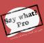 افزونه تغییر نام کلمات پیشفرض وردپرس Say What? Pro