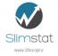 افزونه وردپرس آمارگیر حرفه ای WP Slimstat