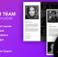 افزونه ایجاد صفحه معرفی اعضای تیم در وردپرس The Team Pro