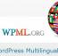 افزونه چند زبانه کردن سایت با WPML نسخه 3.1.8.4