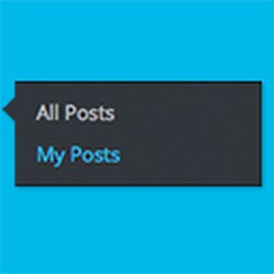 افزودن منوی مطالب من در پیشخوان وردپرس با افزونه My Posts - بیست اسکریپت