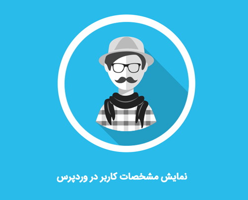 نمایش مشخصات کاربر در وردپرس - بیست اسکریپت
