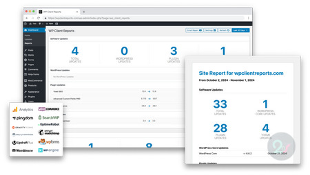 افزونه گزارش مشتری وردپرس WP Client Reports Pro